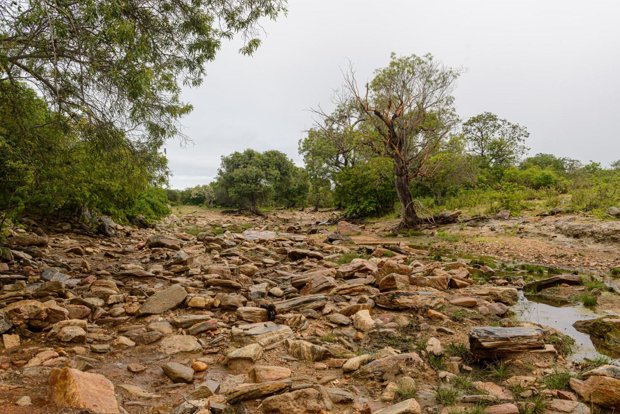 Fazenda Poco Das Pedras São João do Cariri Exterior foto